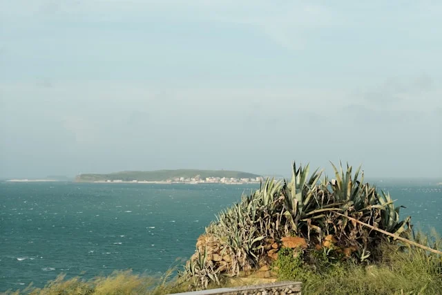 CaribLoop: Jamaica’s Go-To Platform for Viral News and Entertainment