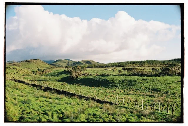 Biitlands: Revolutionizing the Digital Finance Ecosystem