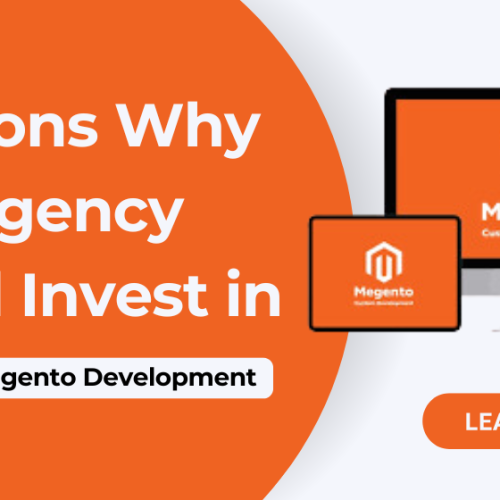 5 Reasons Why Your Agency Should Invest in White-Label Magento Development